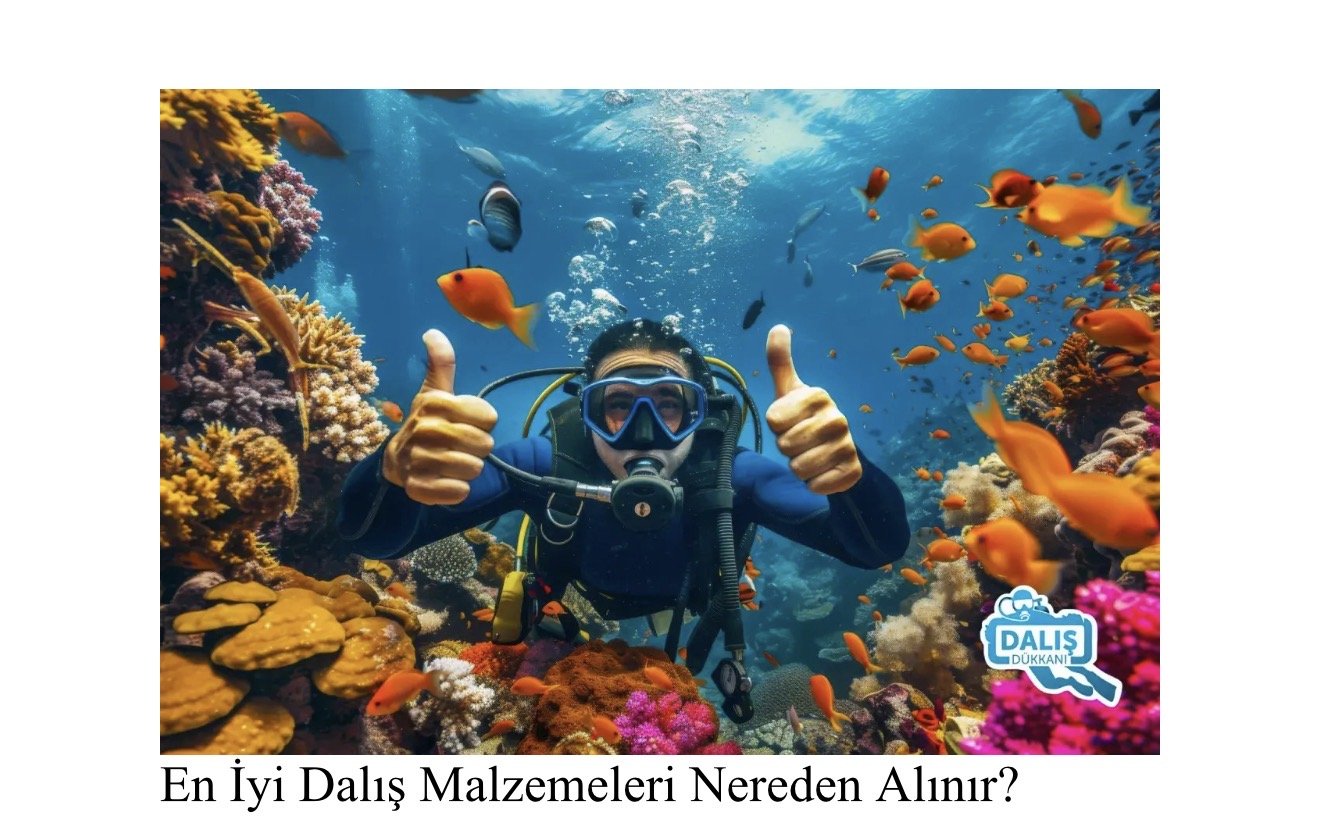 En İyi Dalış Malzemeleri Nereden Alınır?