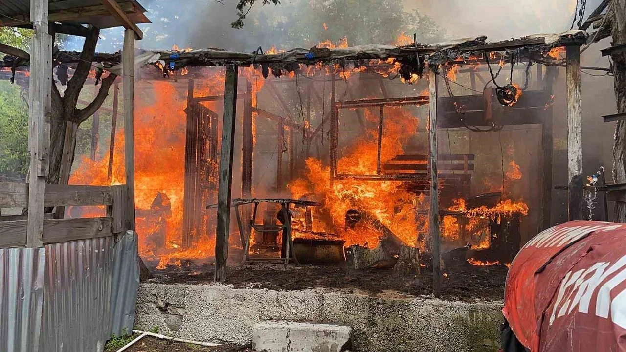 Adana'da Yayla Yangını: İki Ev Küle Döndü