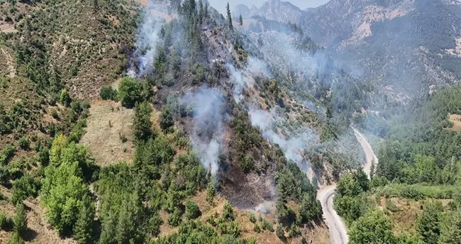 Adana'da Orman Yangını: Müdahale Sürüyor