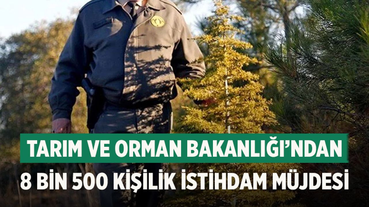 Tarım ve Orman Bakanlığı 8.500 Personel Alımıyla İstihdam Atağına Hazırlanıyor