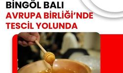 Bingöl Balı Avrupa Birliği'nde Coğrafi İşaret Alan İlk Bal Oldu