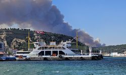 Çanakkale'de Orman Yangını! Gemi Trafiği Durduruldu