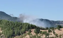 Adana'da Orman Yangınına Müdahale Eden Helikopter Düştü