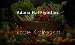 Adana Hal Fiyatları ve Bedava Google Play Kodu bizdekalmasin.com'da