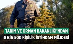 Tarım ve Orman Bakanlığı 8.500 Personel Alımıyla İstihdam Atağına Hazırlanıyor