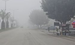 Adana'da Yoğun Sis, Görüş Mesafesini 50 Metreye Düşürdü