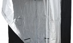 Ev Ortamında Çiçek Açan Bitkilerin Özel Bakım İhtiyaçları Nelerdir?