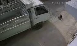 Adana’da Kedi Ezen Sürücüye Toplumsal Duyarlılık Cezası