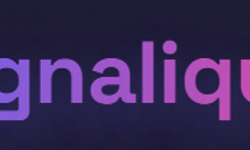 Kurumsal Başarının Dijital Adresi: signalique.com ile Akıllı Çözümler