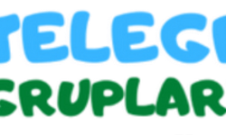 Sessiz Ama Güçlü: Telegram Grupları Neden Bu Kadar Popüler?