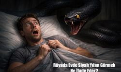 Rüyada Evde Siyah Yılan Görmek Ne İfade Eder?