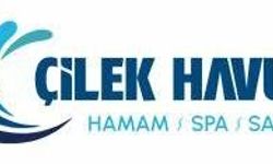 Lüks Yaşamın Yeni Sembolü: Havuz Yapımı ile Bahçenizi Baştan Yaratın