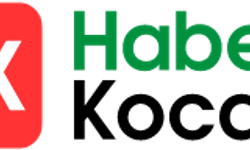 Kocaeli’nde Gündem Hiç Durmuyor: Şehrin Nabzını Tutan Haber Kaynakları