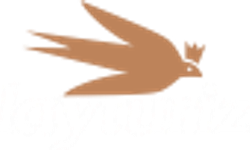 Çin Vize Başvurusu Sürecinde Kritik Adımlar: Hızlı ve Sorunsuz Sonuç İçin Rehber