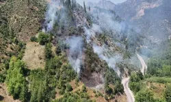 Adana'da Orman Yangını: Müdahale Sürüyor