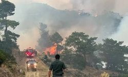 Aydın, Balıkesir, Antalya, Muğla Ve İzmir'deki Orman Yangınlarına Müdahale Sürüyor