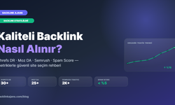 SEO İçin Tanıtım Yazısı Neden Tek Bir Bağlantıdan Fazlasını Getirir