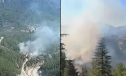 Adana’da İki Farklı Bölgede Orman Yangını