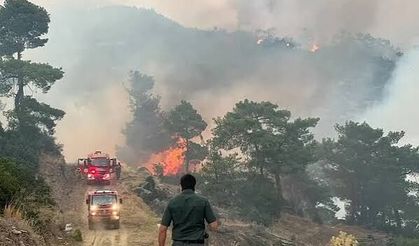 Aydın, Balıkesir, Antalya, Muğla Ve İzmir'deki Orman Yangınlarına Müdahale Sürüyor