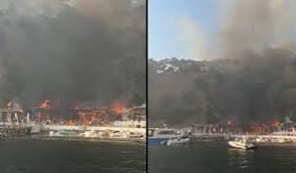 Büyükada Viranbağ Plajı’nda Korkutan Yangın
