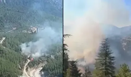 Adana’da İki Farklı Bölgede Orman Yangını
