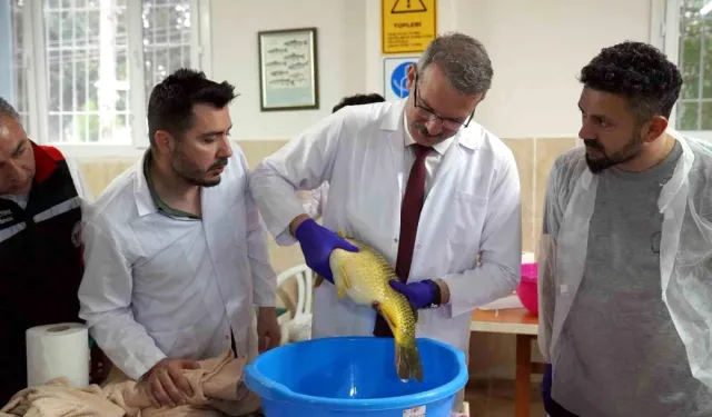 Adana İl Tarım ve Orman Müdürlüğü'nde Yeni Balık Yetiştirme Sezonu Başladı