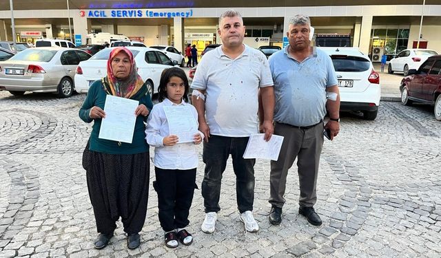 Adana'da Yol Verme Tartışması: Dolmuş Sürücüsü Abi Ve Kardeşi Darbetti