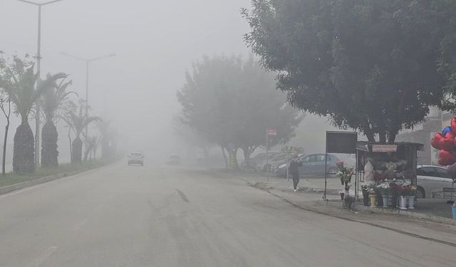 Adana'da Yoğun Sis, Görüş Mesafesini 50 Metreye Düşürdü