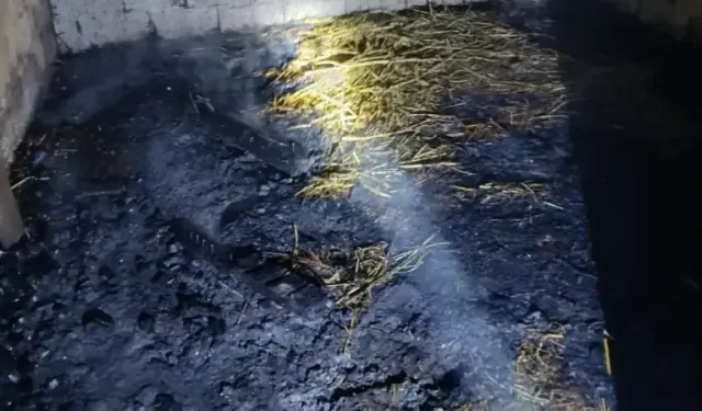 Adana İmamoğlu’nda Ahır Yangını: 7 Küçükbaş Hayvan Telef Oldu