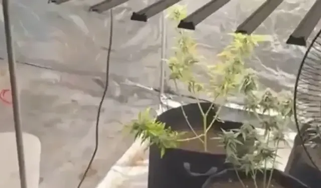 Adana’da ‘Yapay Sera’ Operasyonu: Evini Laboratuvara Çeviren Zanlı Tutuklandı