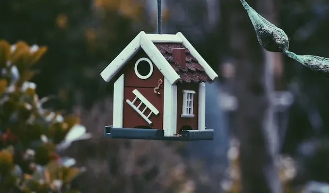 Tahliye Uyuşmazlıklarında Patlama: Sözleşmesiz Kiracılar Ev Sahiplerini Zorluyor