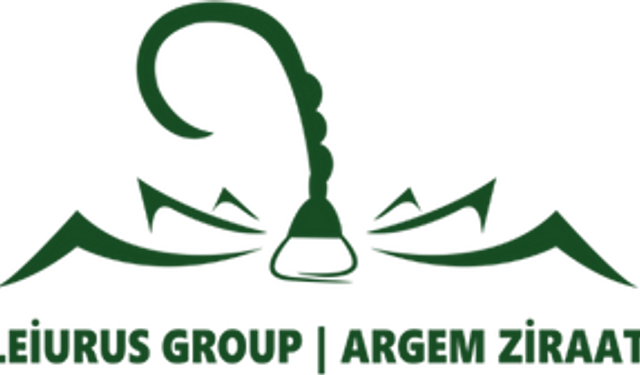 Geleceği Şekillendiren Çizgiler: Mimarlıkta Estetik ve Fonksiyonun Dengesi