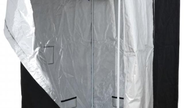 Ev Ortamında Çiçek Açan Bitkilerin Özel Bakım İhtiyaçları Nelerdir?