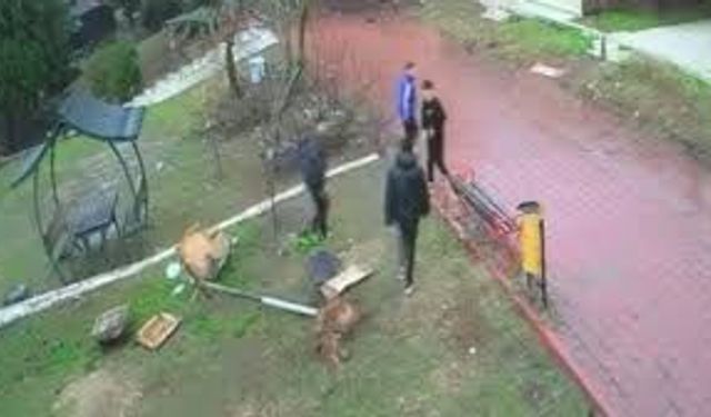 Parktaki Kuş Yuvasına Zarar Veren 4 Çocuğa Ev Hapsi Cezası