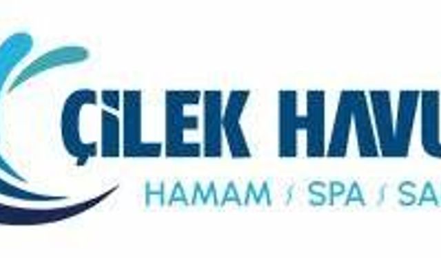 Lüks Yaşamın Yeni Sembolü: Havuz Yapımı ile Bahçenizi Baştan Yaratın