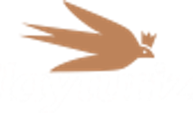 Çin Vize Başvurusu Sürecinde Kritik Adımlar: Hızlı ve Sorunsuz Sonuç İçin Rehber