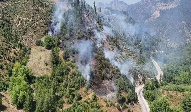 Adana'da Orman Yangını: Müdahale Sürüyor