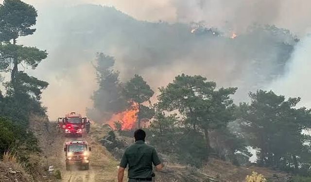 Aydın, Balıkesir, Antalya, Muğla Ve İzmir'deki Orman Yangınlarına Müdahale Sürüyor