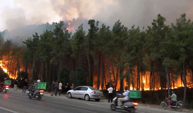 Adana Kozan’da Başlayan Yangın 2 İlçeye Daha Sıçradı