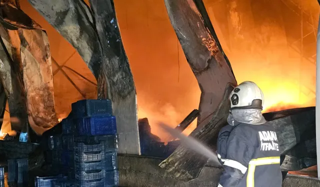Adana’da Sebze Halinde Korkutan Yangın: Alevler 22 İş Yerine Sıçradı