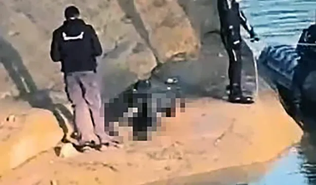 Balık Tutmaya Gitti Bir Daha Dönemedi! Adana’daki Gencin Acı Sonu