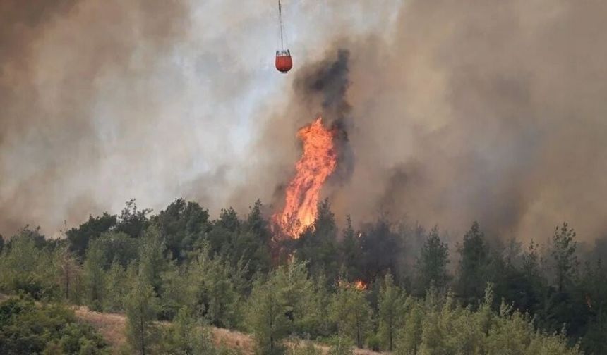 Adana’da Orman Yangınına Müdahale Eden Söndürme Uçağı Düştü: İki Pilot Yaralandı