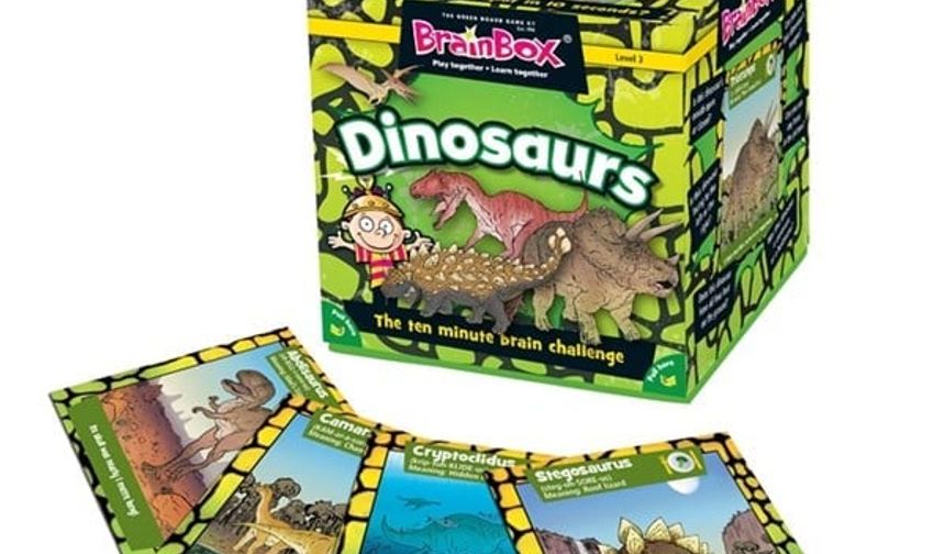 Evde Akıl Oyunları ile Çocukların Strateji Geliştirmesi Nasıl Desteklenebilir?