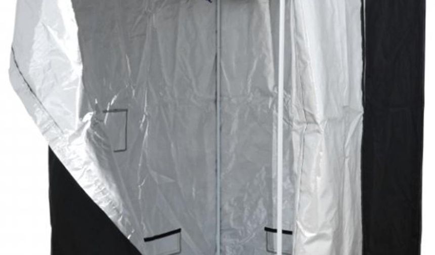 Ev Ortamında Çiçek Açan Bitkilerin Özel Bakım İhtiyaçları Nelerdir?