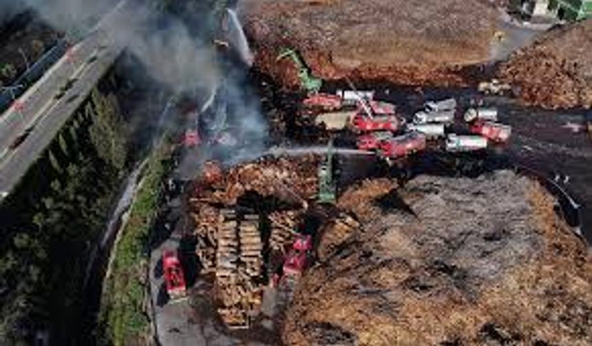 Adana’da Ahşap Panel Fabrikasında Korkutan Yangın