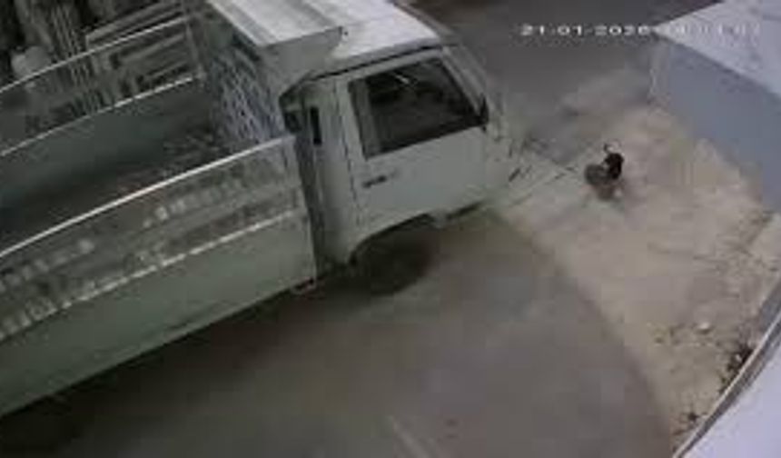 Adana’da Kedi Ezen Sürücüye Toplumsal Duyarlılık Cezası