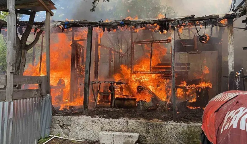 Adana'da Yayla Yangını: İki Ev Küle Döndü