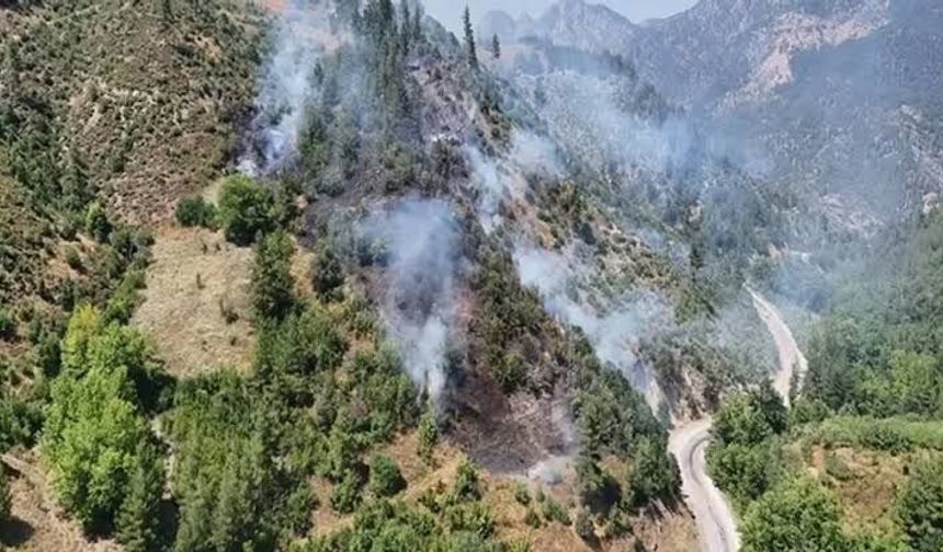Adana'da Orman Yangınına Havadan Ve Karadan Yoğun Müdahale