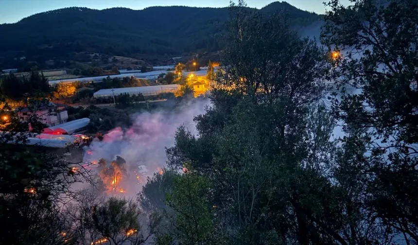 Muğla, Antalya, Balıkesir Ve Çanakkale’de Orman Yangınları Alarmı