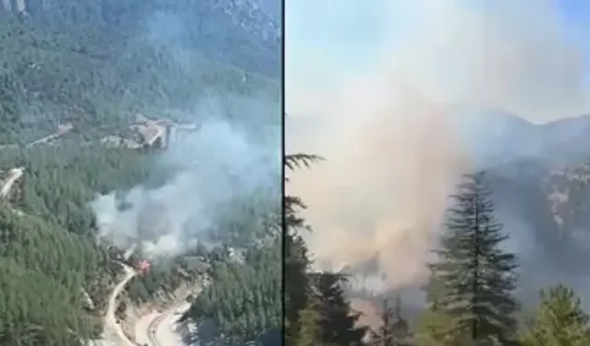 Adana’da İki Farklı Bölgede Orman Yangını